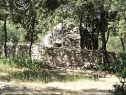 Capitelle"